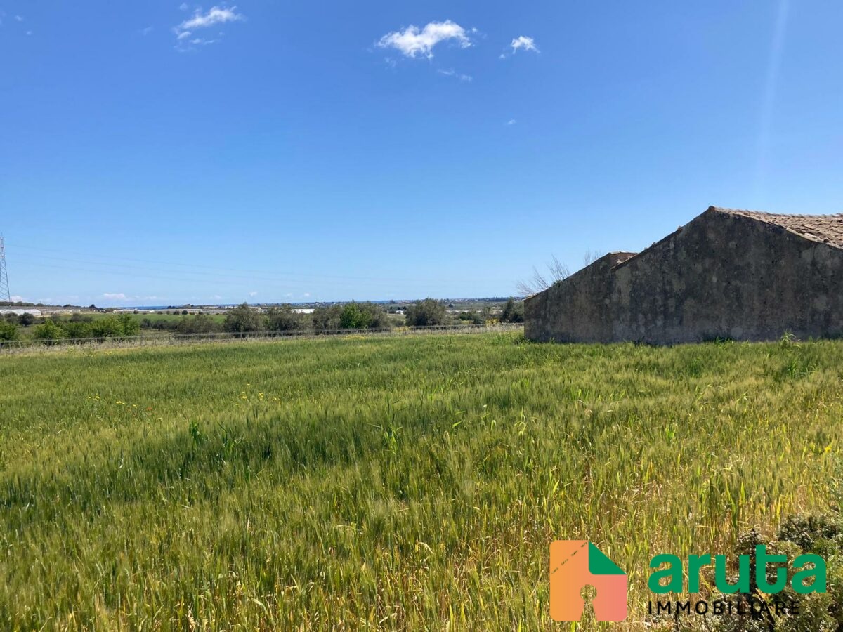 Noto - C.da Bufalefi Maccari (25)