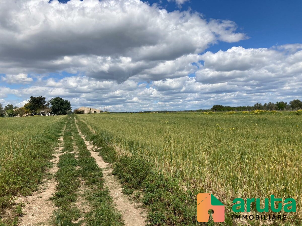 Noto - C.da Bufalefi Maccari (27)