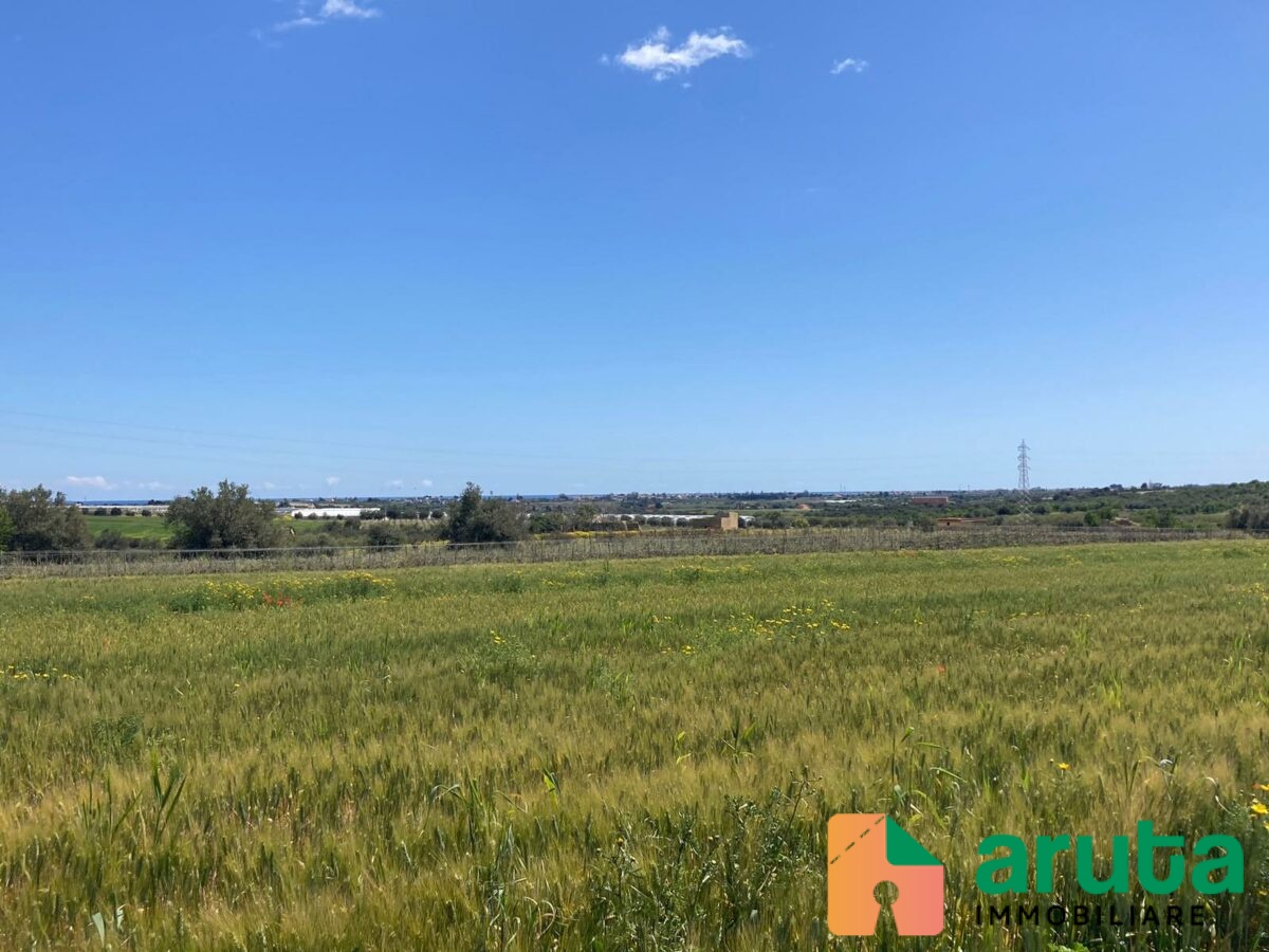 Noto - C.da Bufalefi Maccari (28)