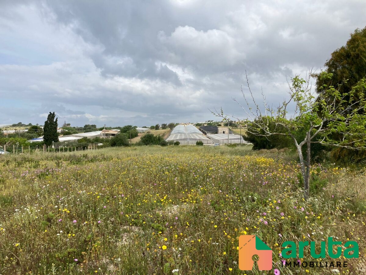 Pachino - c.da Ciappa (4)