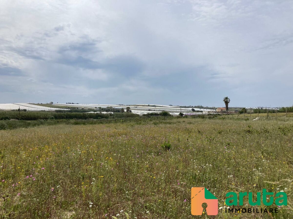 Pachino - c.da Ciappa (7)