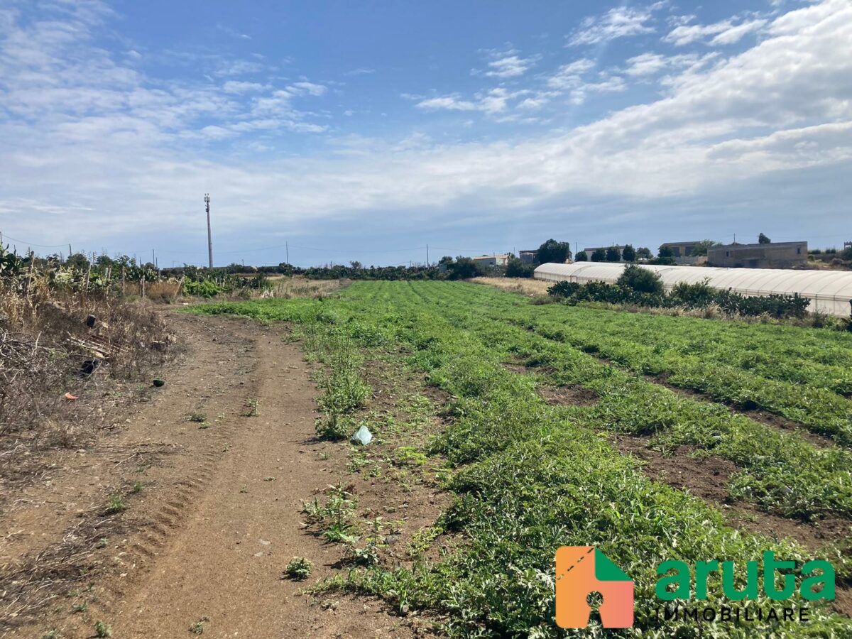 Pachino - C.da Stallone (1)