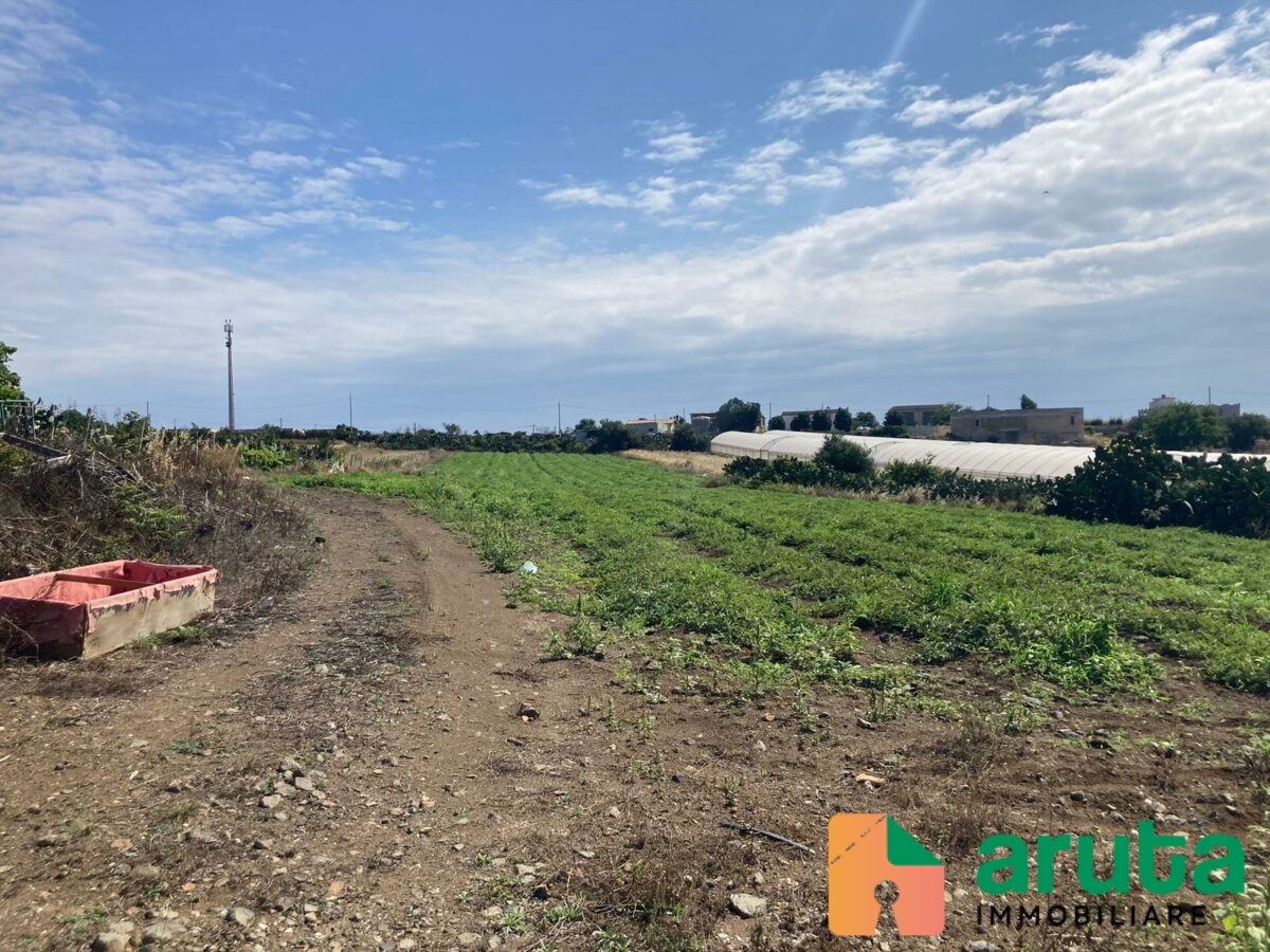 Pachino - C.da Stallone (2)