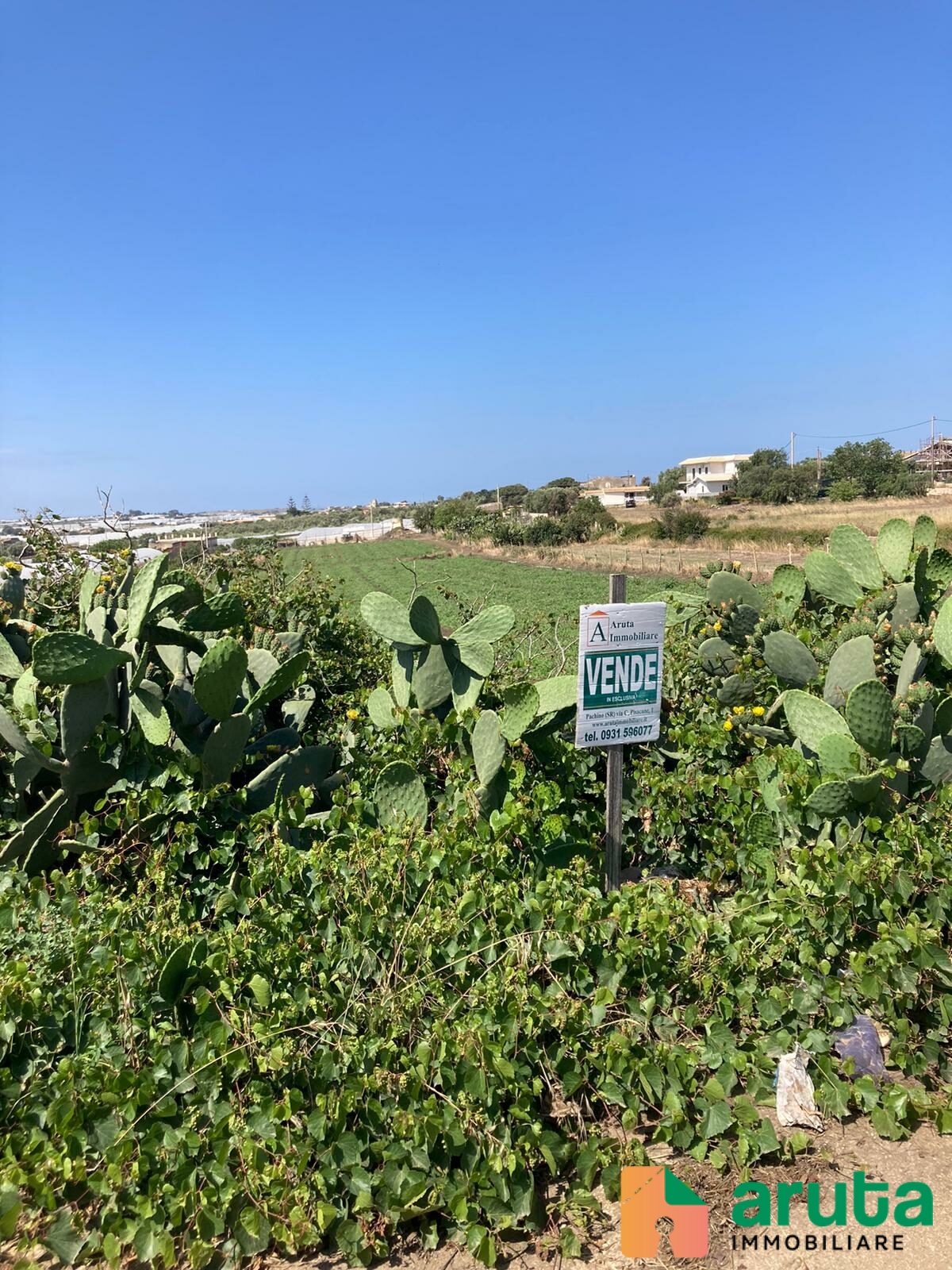 Pachino - C.da Stallone (3)