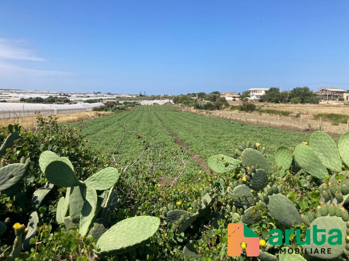 Pachino - C.da Stallone (5)