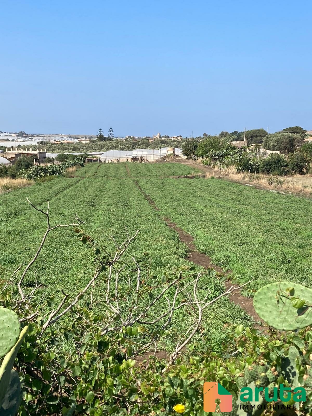 Pachino - C.da Stallone (9)