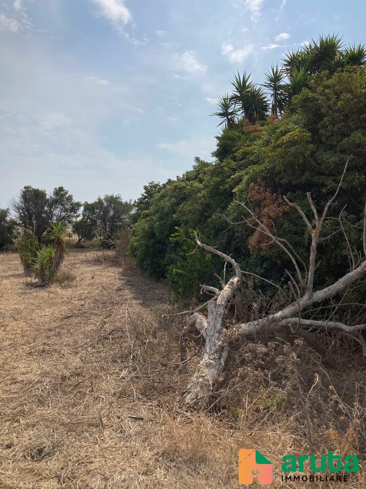 Pachino - Saiazza (1)