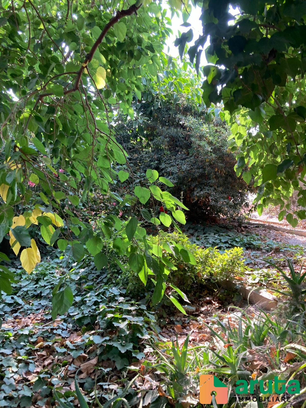 Pachino - Saiazza (31)