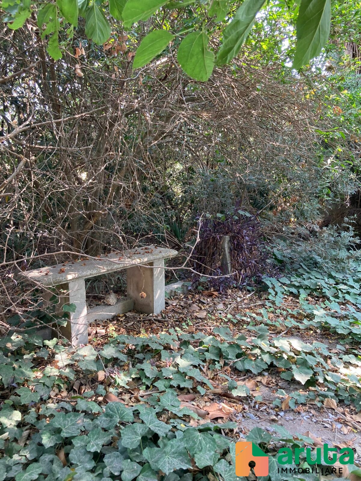 Pachino - Saiazza (33)