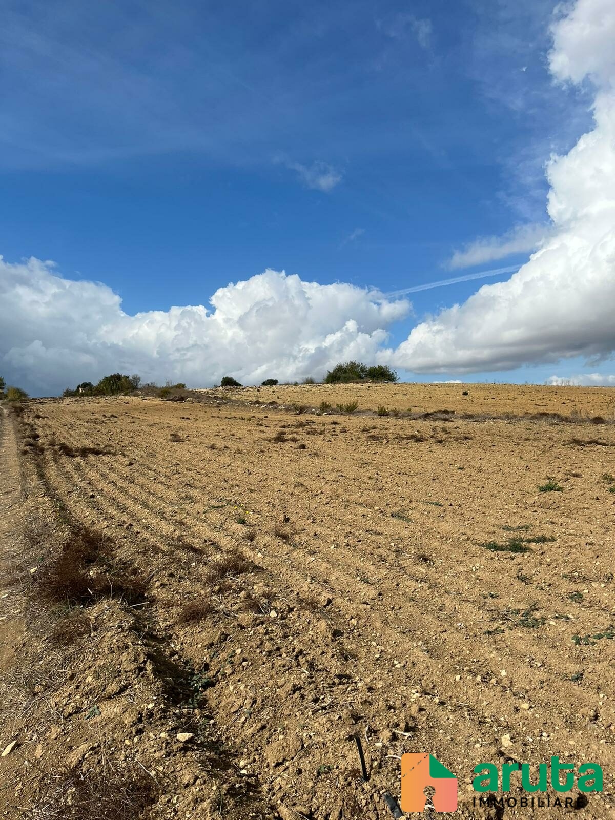 Pachino - C.da Cozzo Grillo (2)