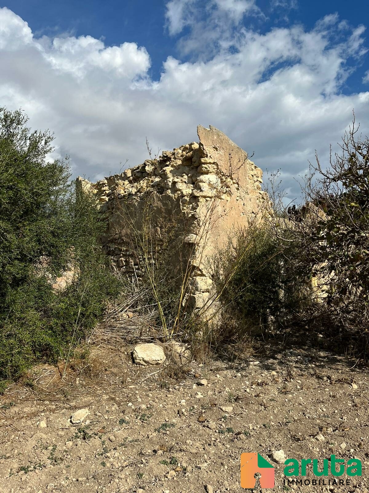 Pachino - C.da Cozzo Grillo (3)