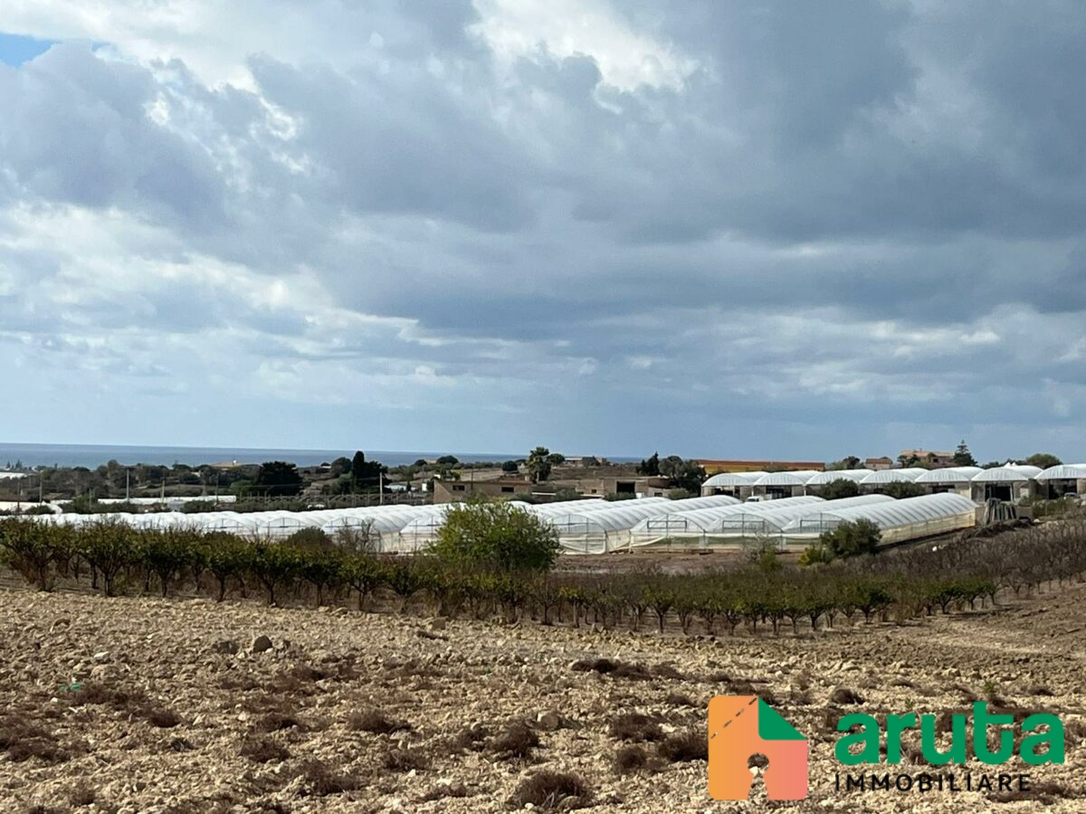 Pachino - C.da Cozzo Grillo (4)