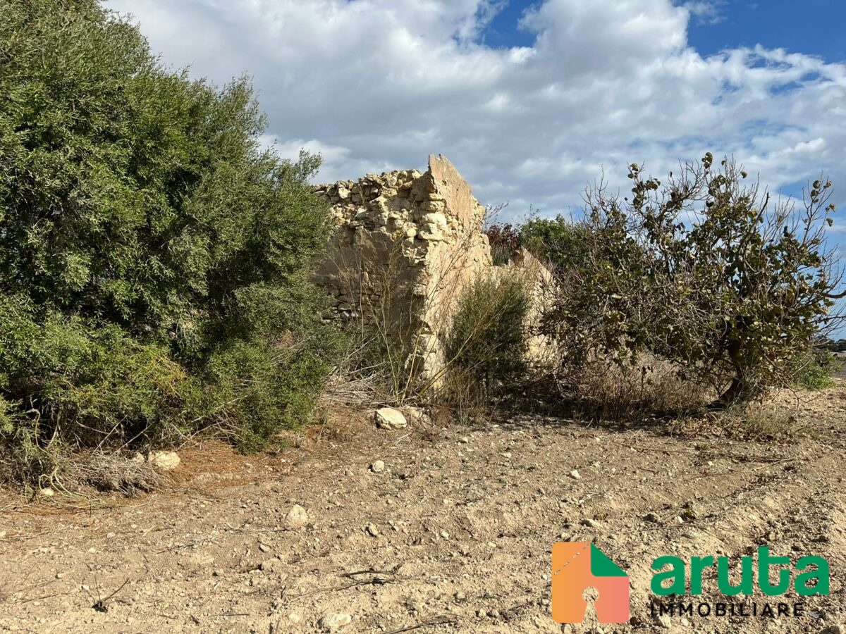 Pachino - C.da Cozzo Grillo (6)