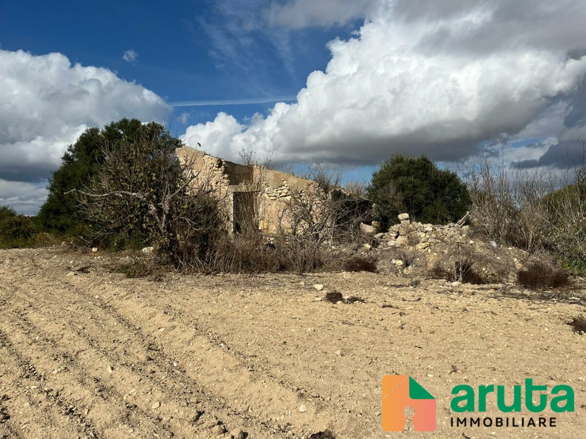 Pachino - C.da Cozzo Grillo (7)