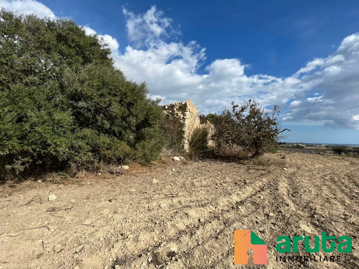 Pachino - C.da Cozzo Grillo (9)