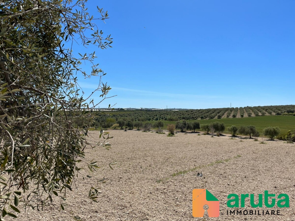 Noto - C.da Buonivini (1)