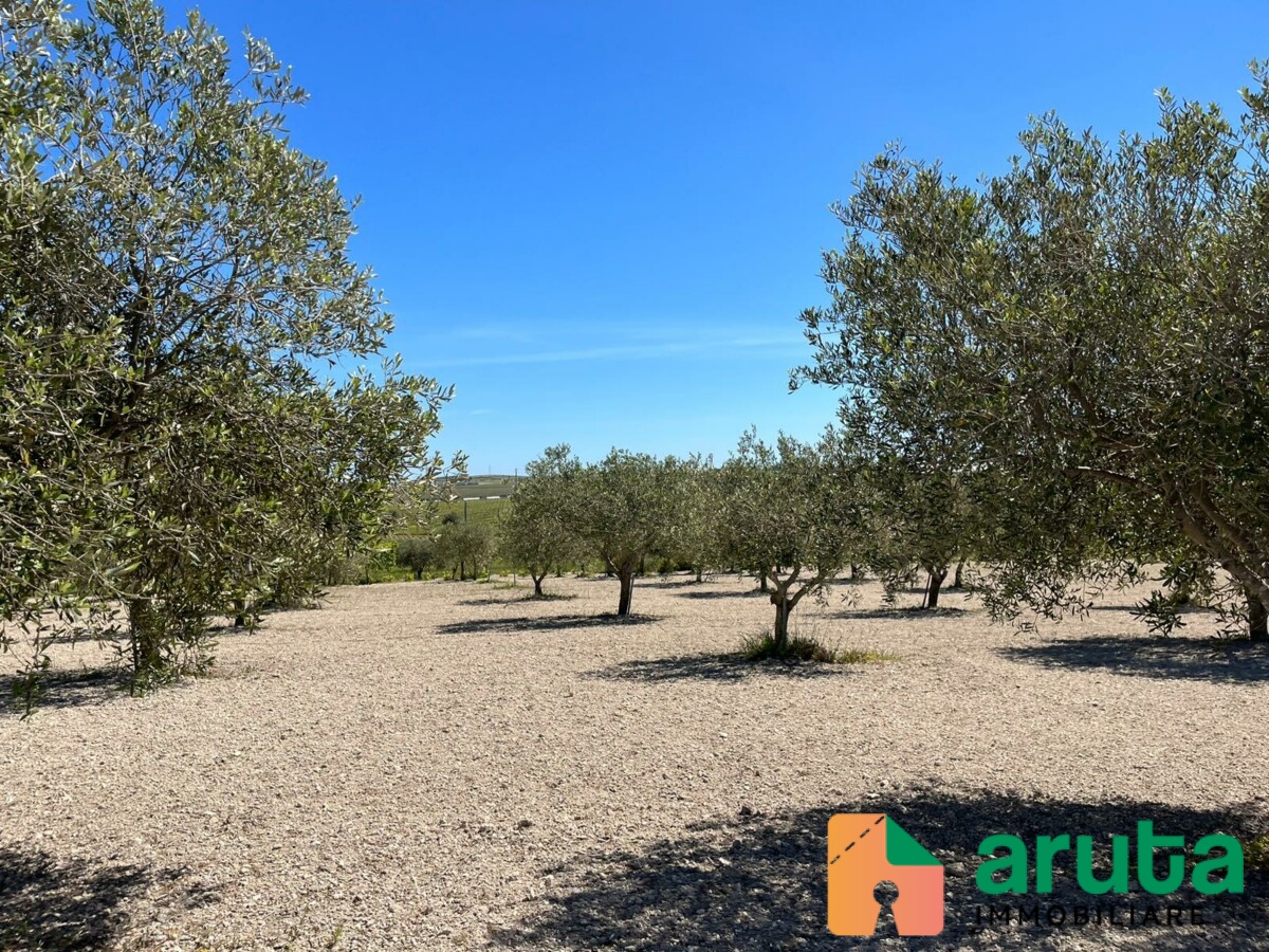 Noto - C.da Buonivini (2)