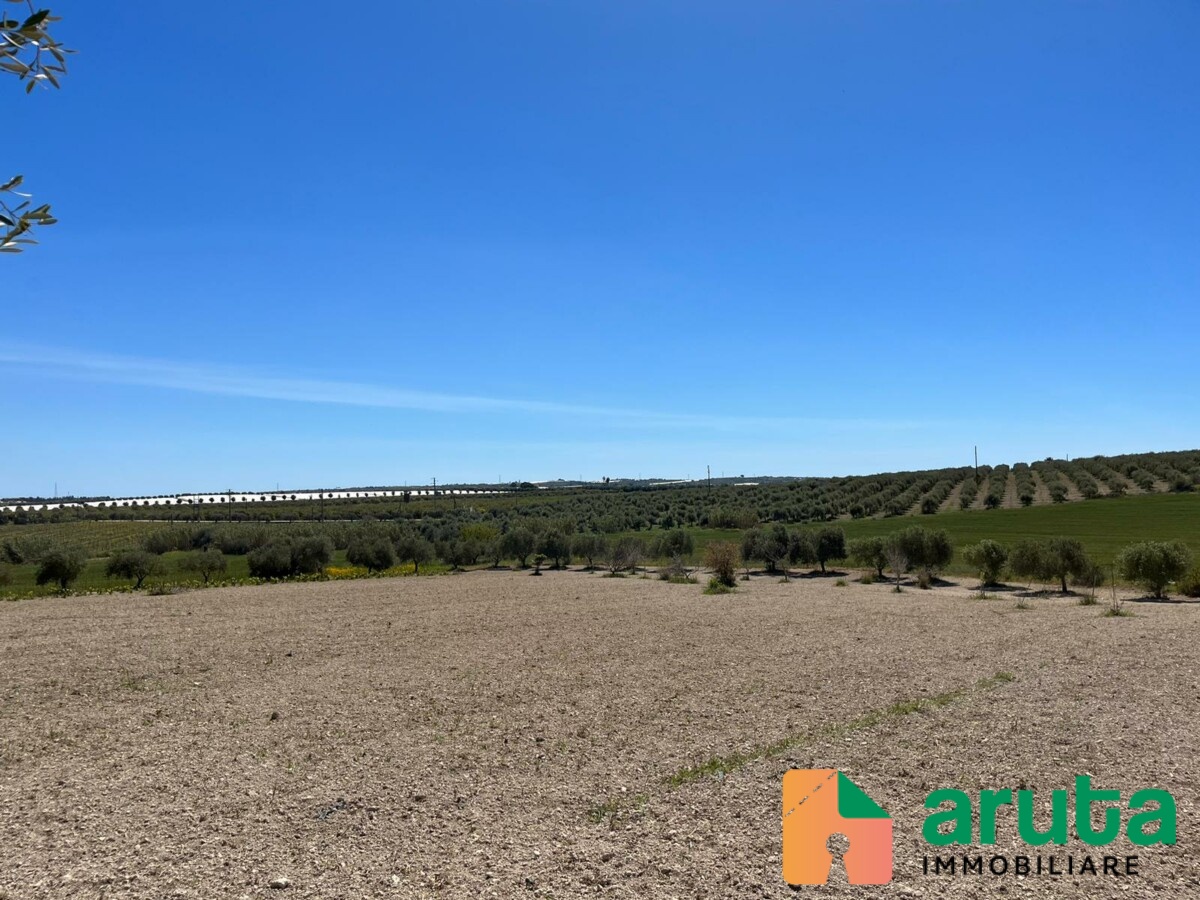 Noto - C.da Buonivini (5)