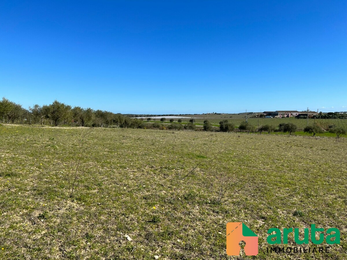 Noto - c.da Buonivini (2)