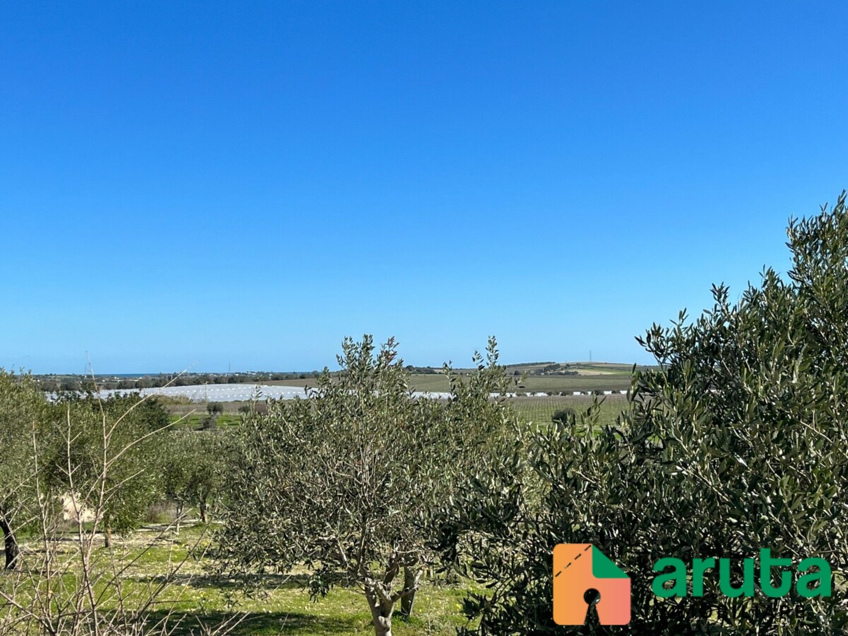 Noto - c.da Buonivini (3)