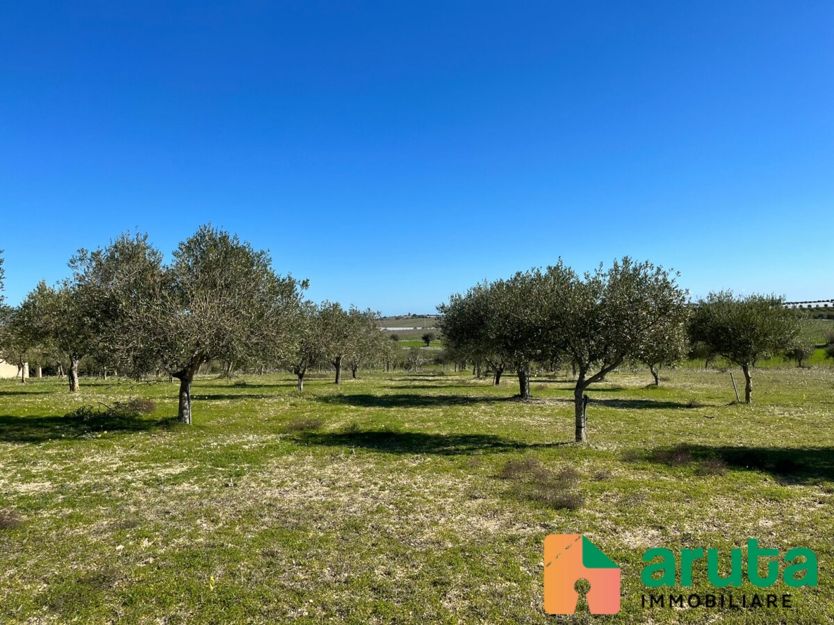 Noto - c.da Buonivini (4)