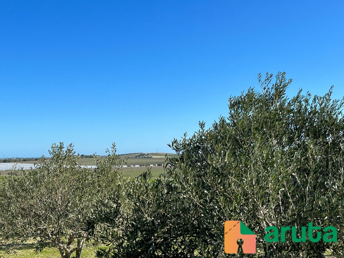 Noto - c.da Buonivini (5)