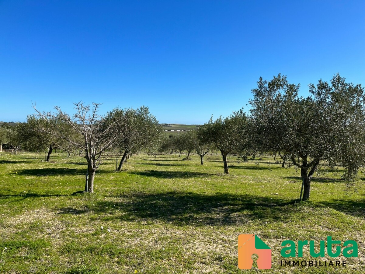 Noto - c.da Buonivini (8)