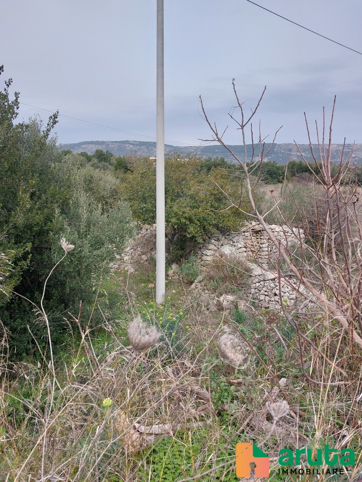 Solarino - C.da Balatazza (31)