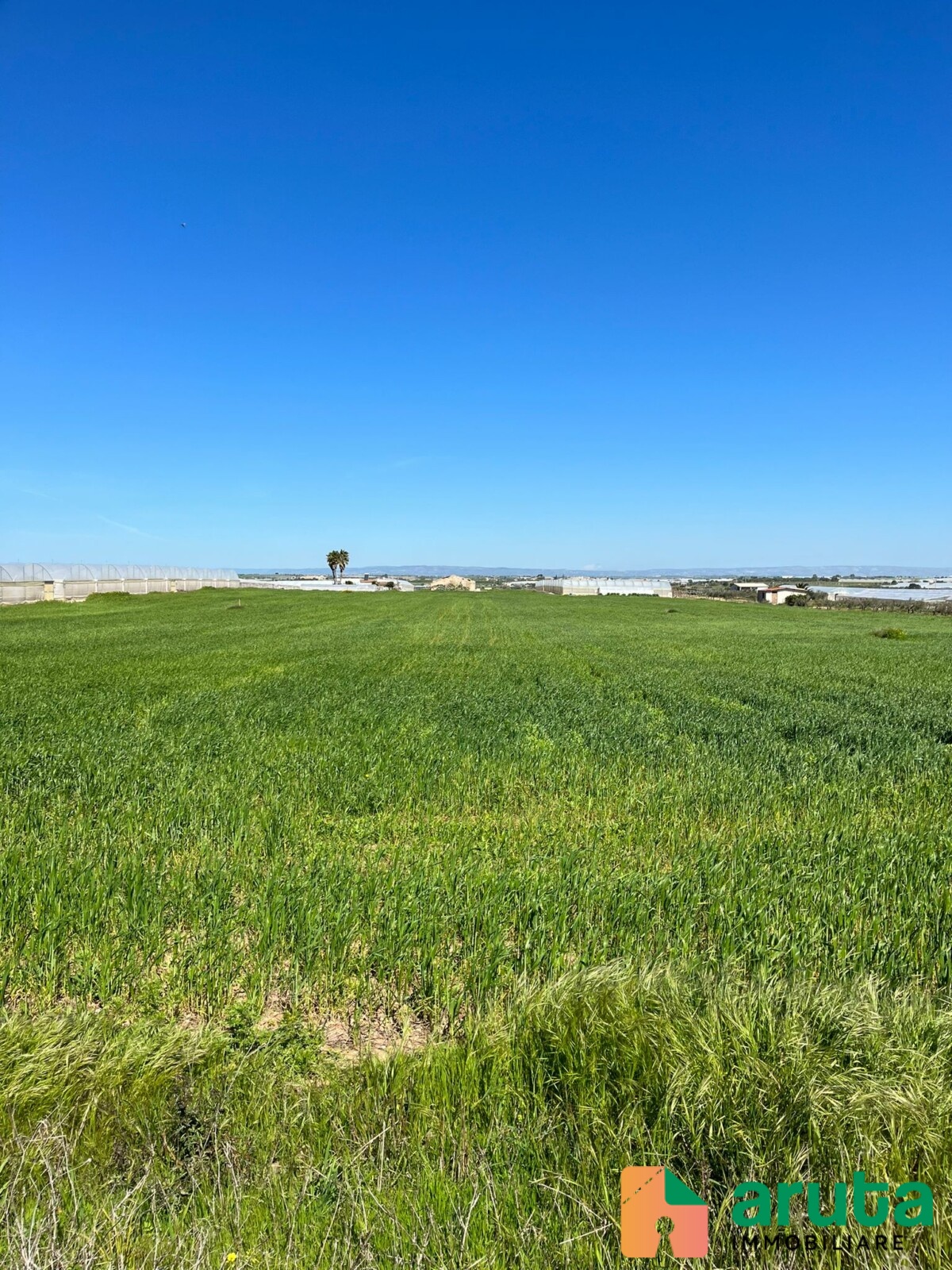 Pachino - C.da Carrata (2)