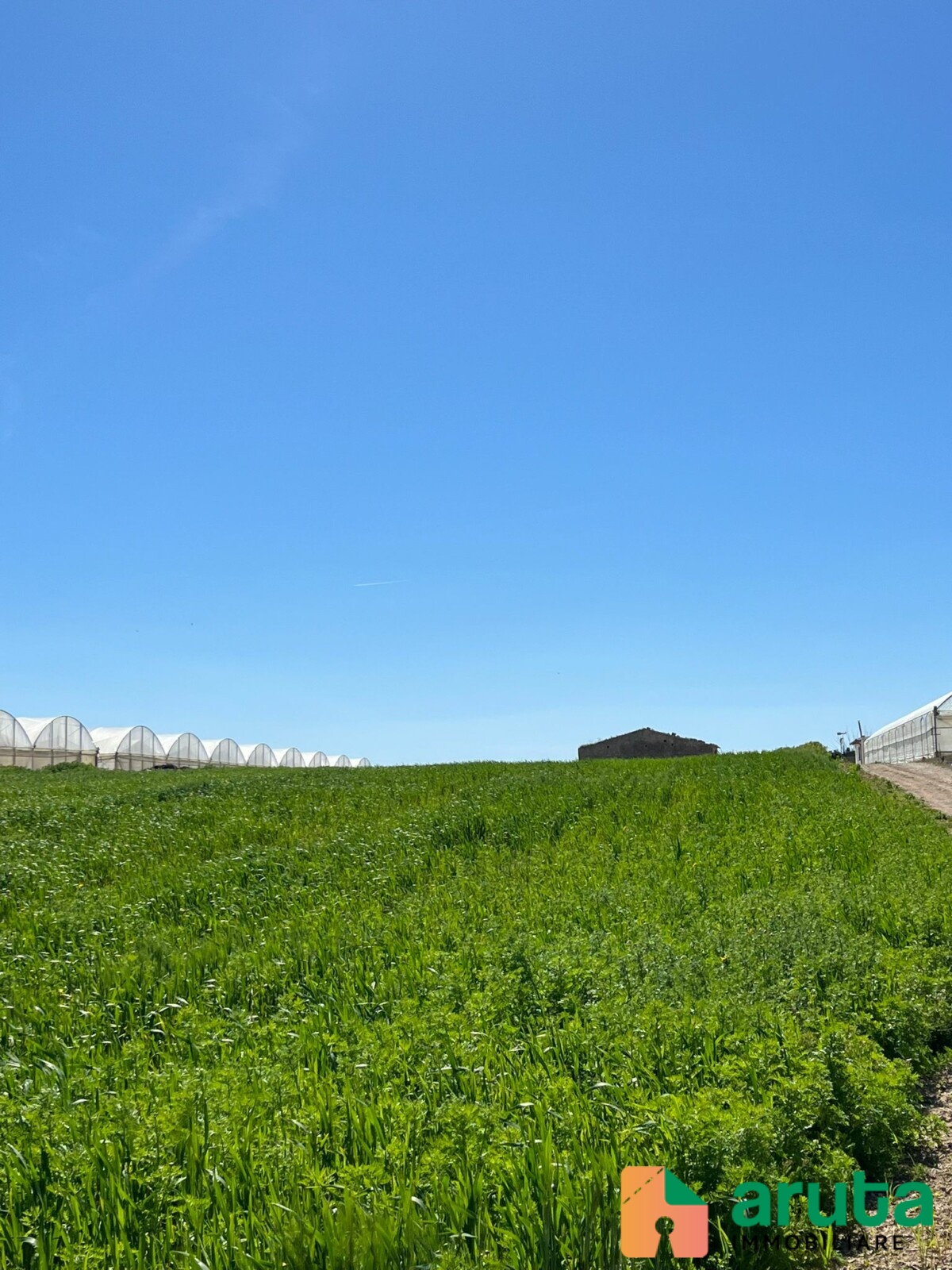 Pachino - C.da Carrata (4)