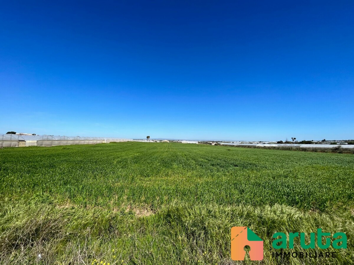 Pachino - C.da Carrata (5)