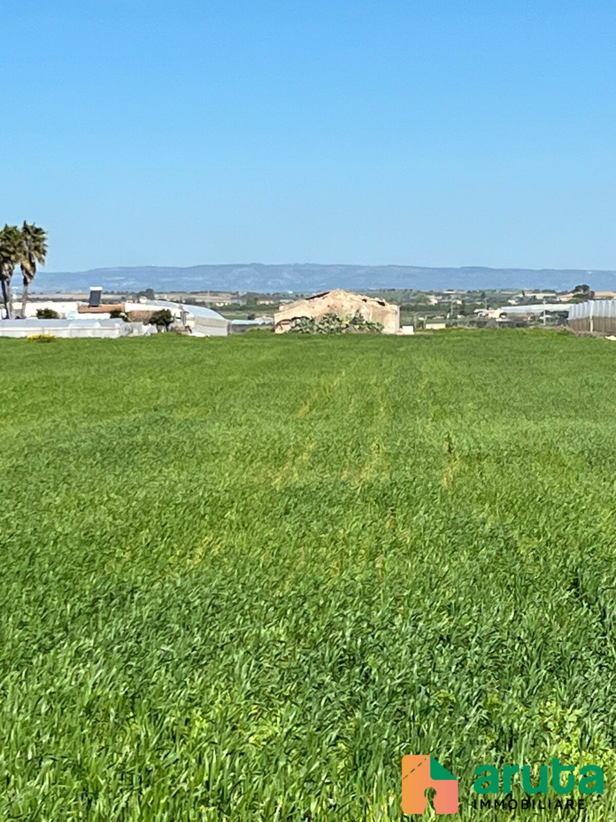 Pachino - C.da Carrata (8)