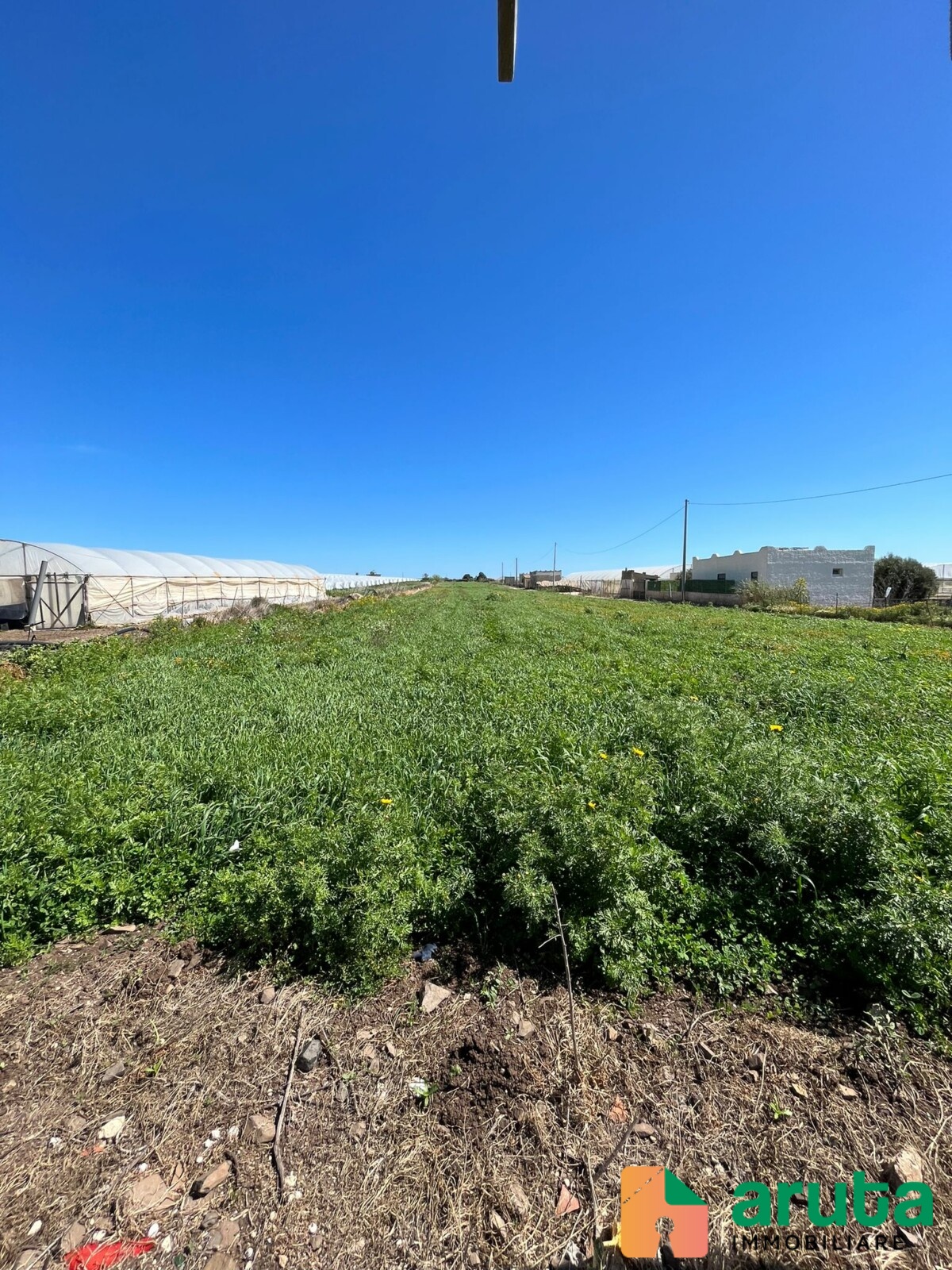 Pachino - c.da Scirbata (1)