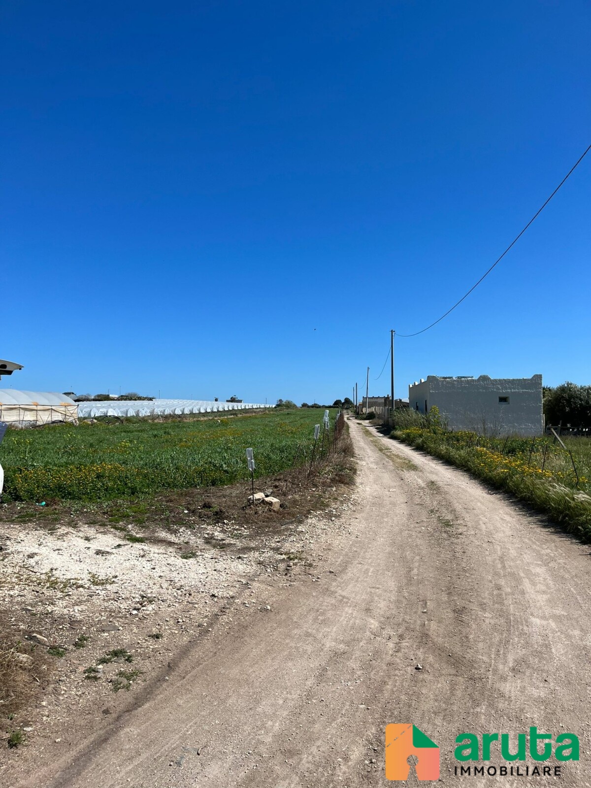 Pachino - c.da Scirbata (3)