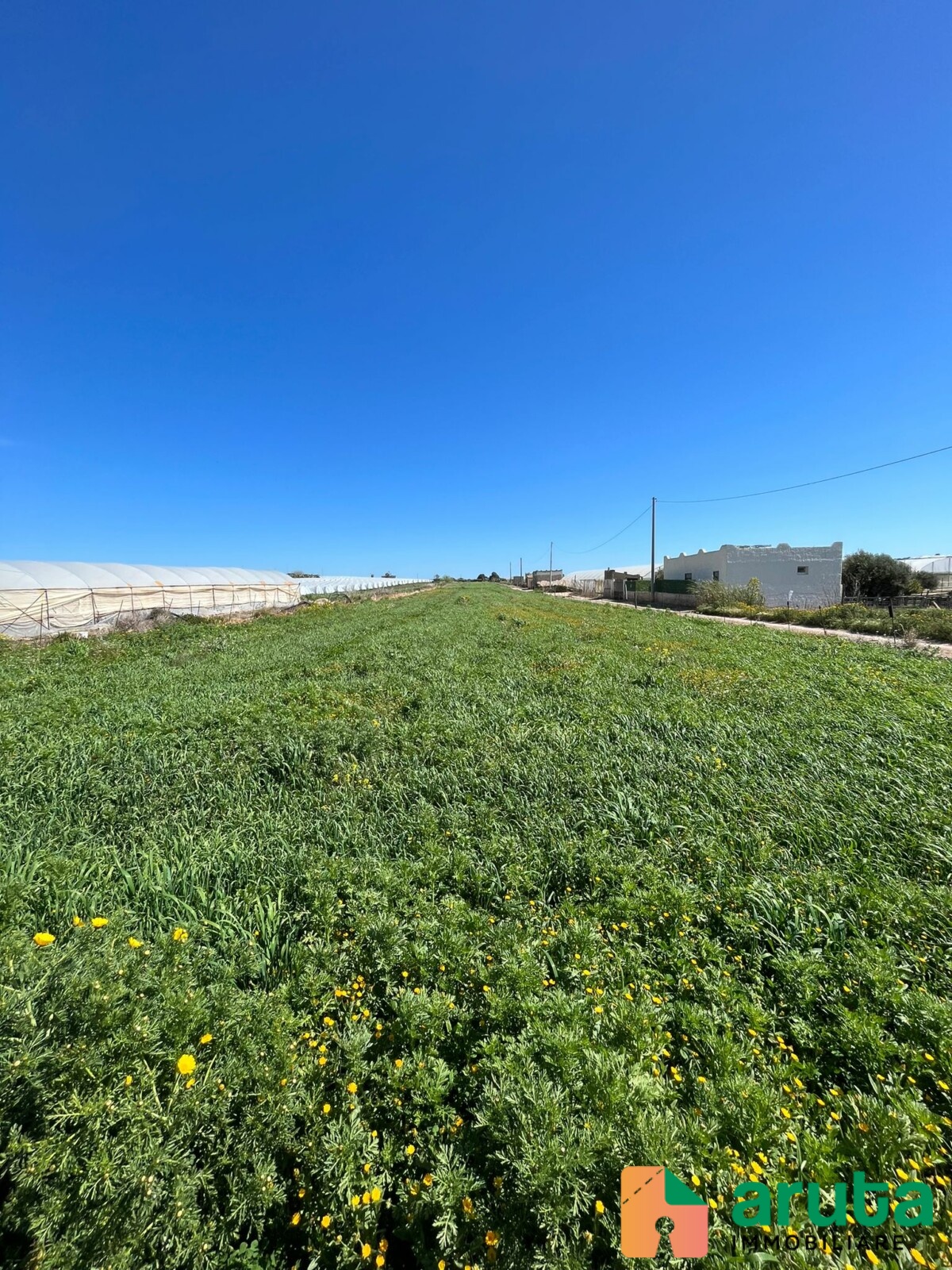 Pachino - c.da Scirbata (7)