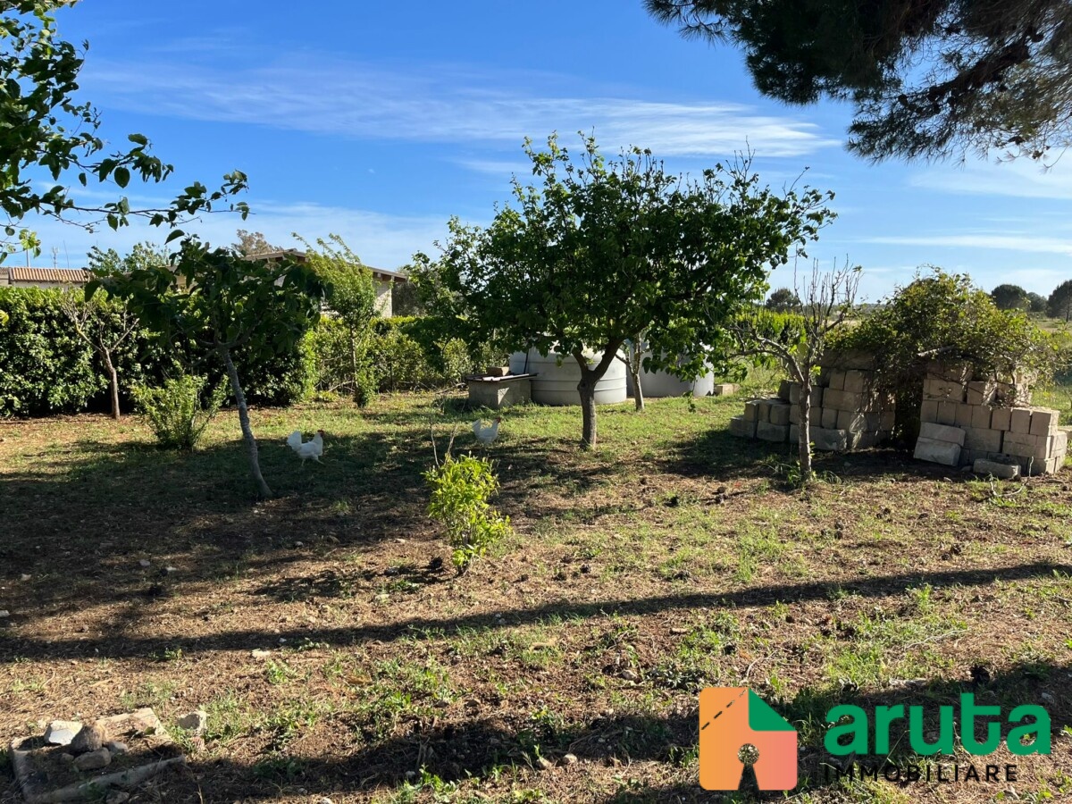 Noto - San Lorenzo (25)