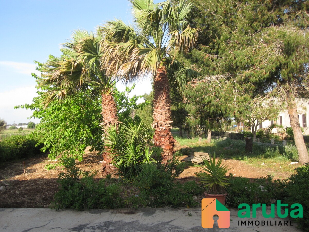 Noto - San Lorenzo (31)