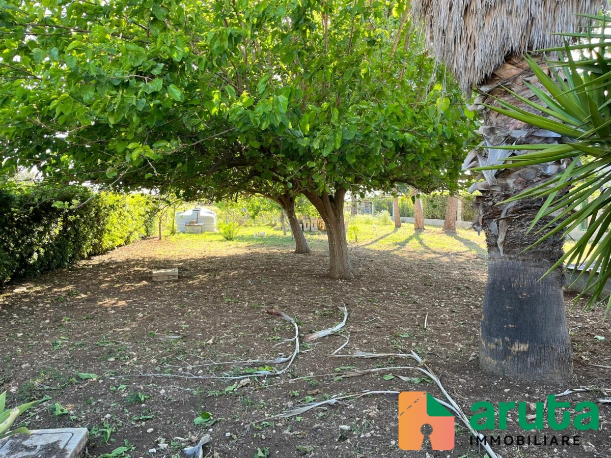 Noto - San Lorenzo (5)