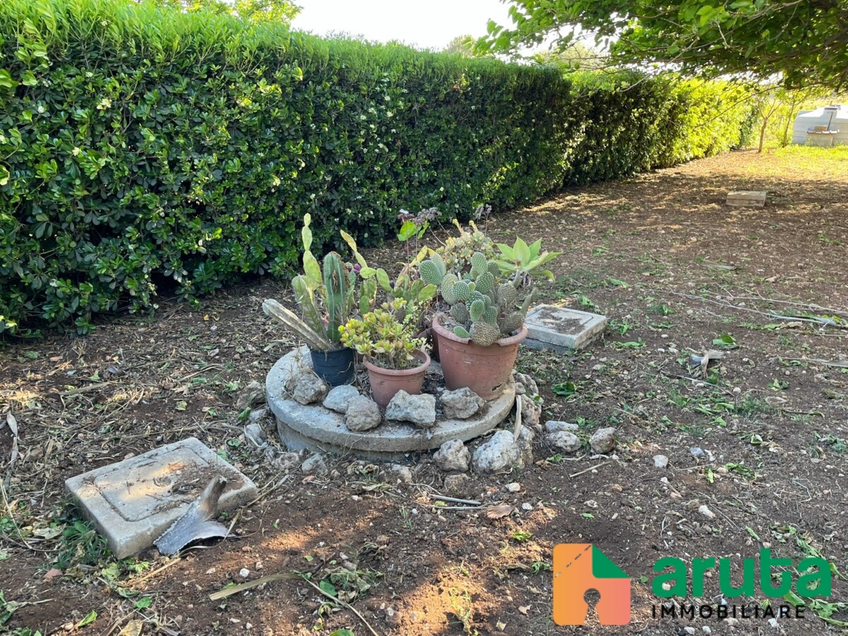 Noto - San Lorenzo (7)