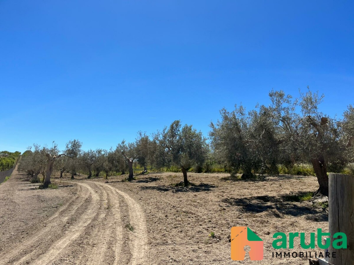 Pachino - C.da Cozzi (5)