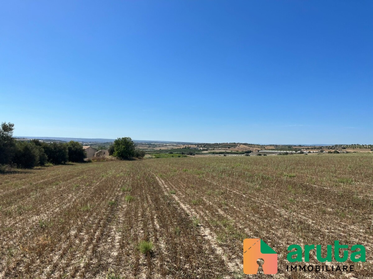 Noto - C.da Passo Corrado (1)