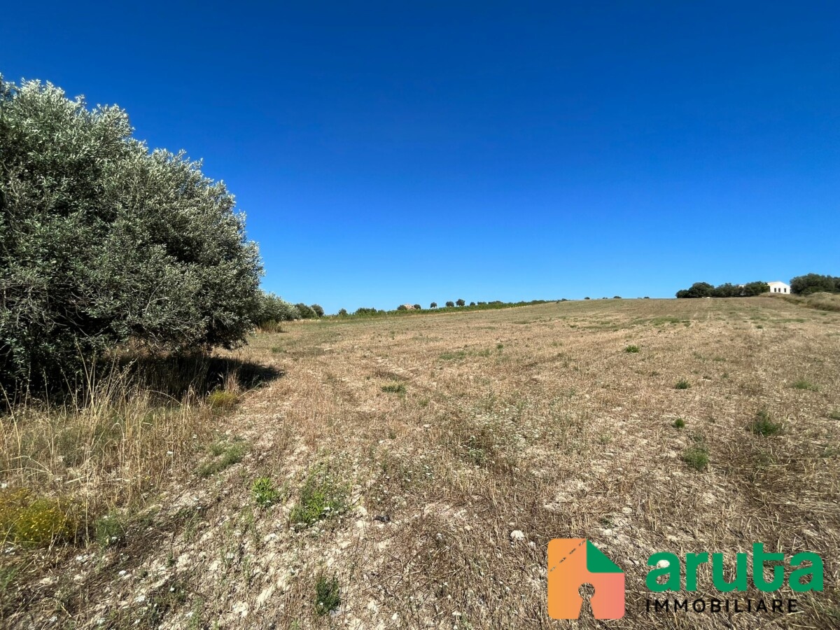 Noto - C.da Passo Corrado (10)