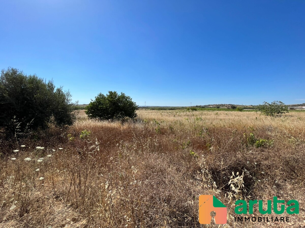 Noto - C.da Passo Corrado (15)