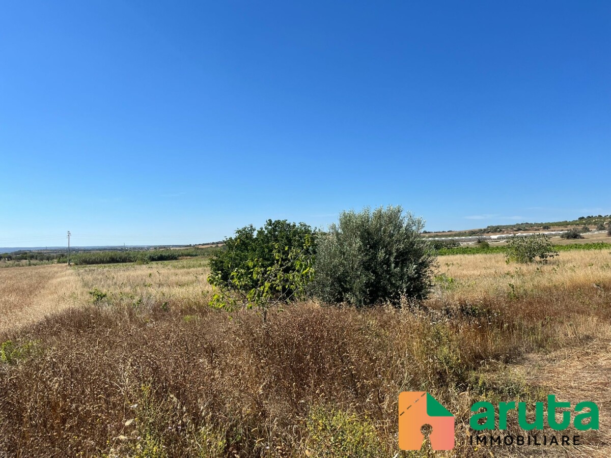 Noto - C.da Passo Corrado (17)