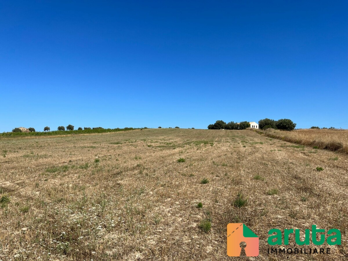 Noto - C.da Passo Corrado (3)