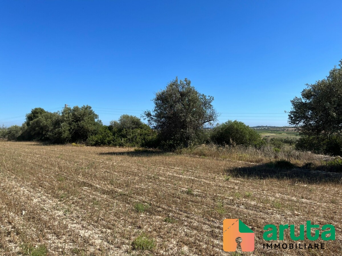 Noto - C.da Passo Corrado (7)