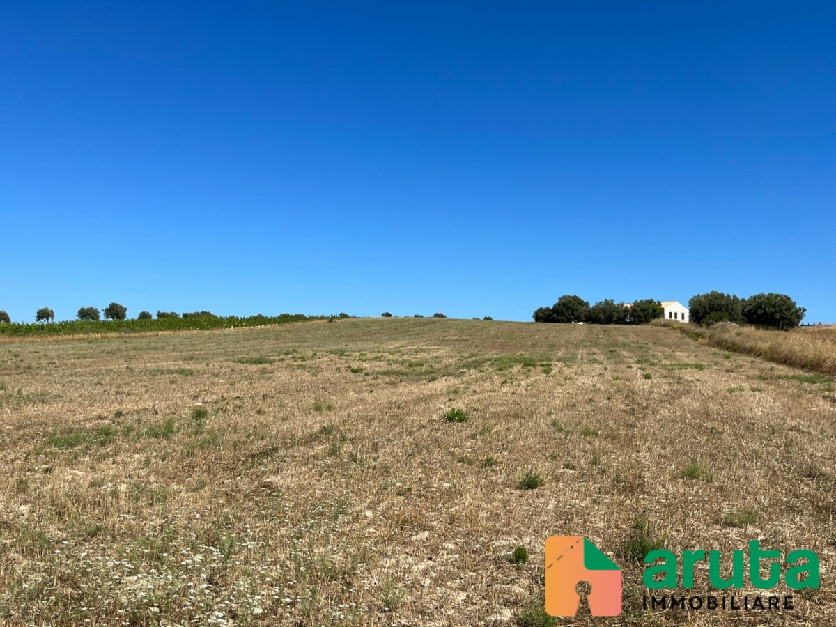 Noto - C.da Passo Corrado (9)