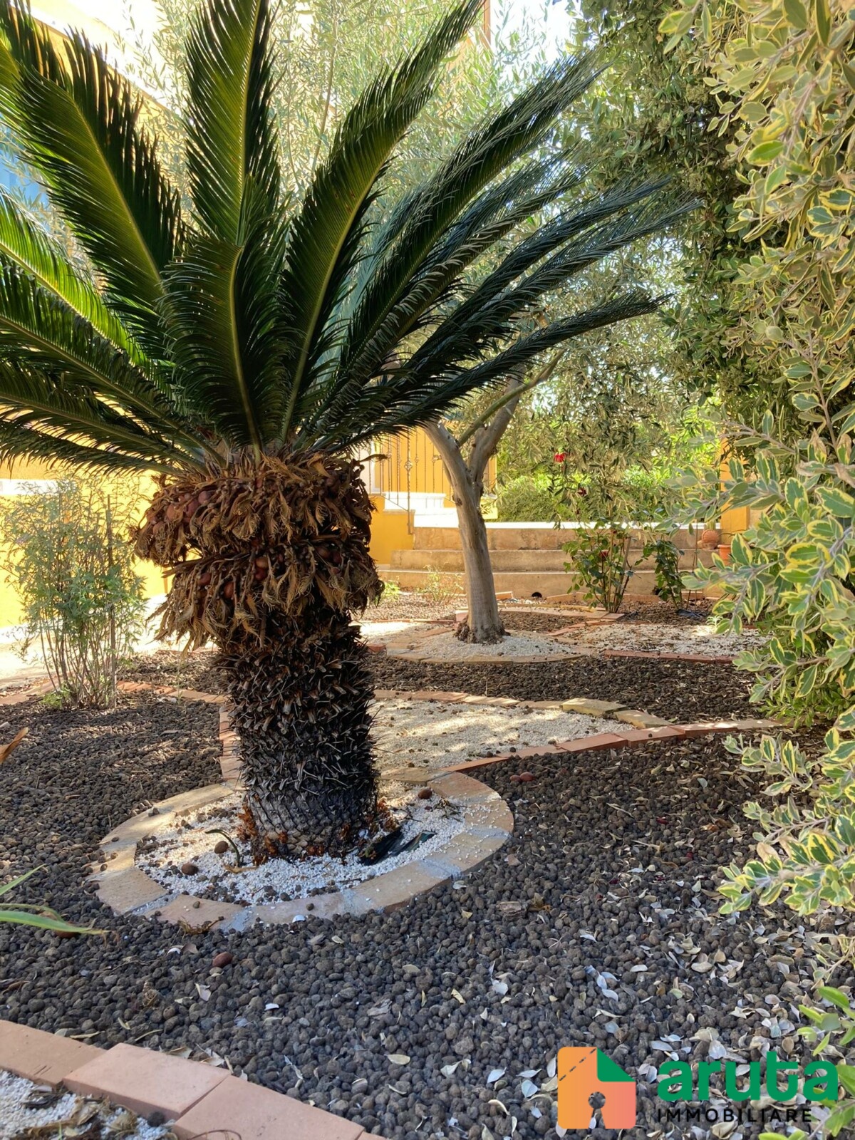 Pachino - via Palermo (35)