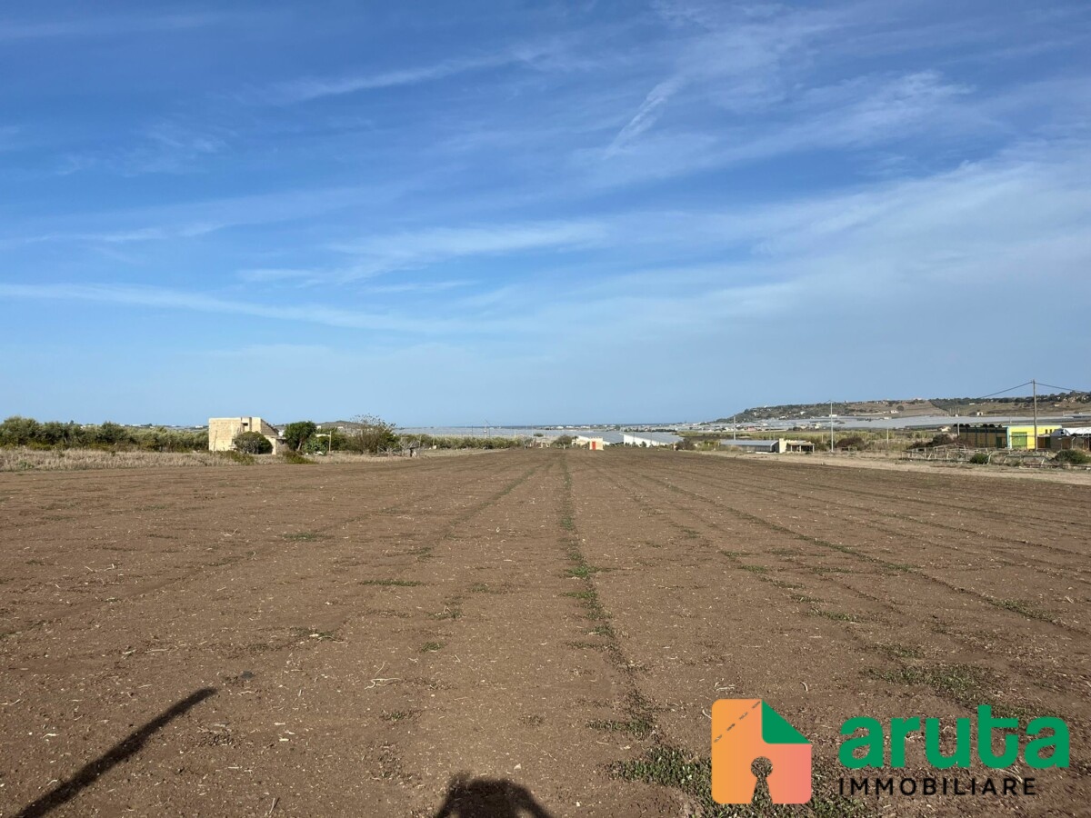 Pachino - C.da Scirbata (1)