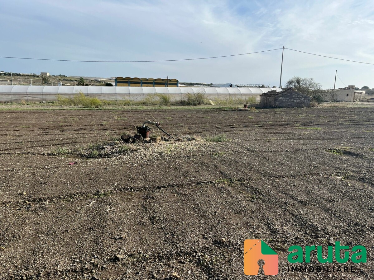 Pachino - C.da Scirbata (11)